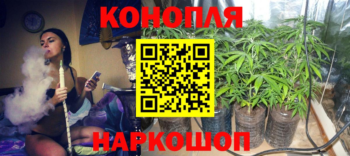 Липецк  Бошки Шишки индика  Вход с VPN  Бошки Шишки планчик 
